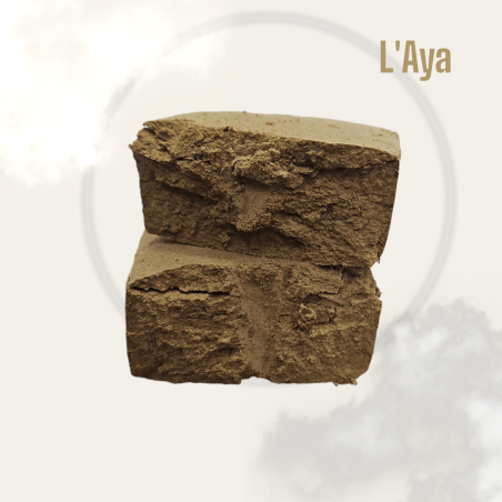 L’AYA