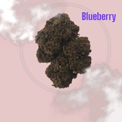 BLUEBERRY