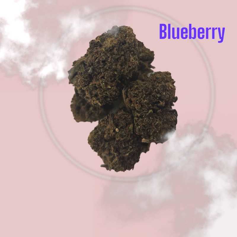 BLUEBERRY