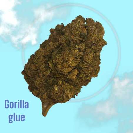 Gorilla Glue