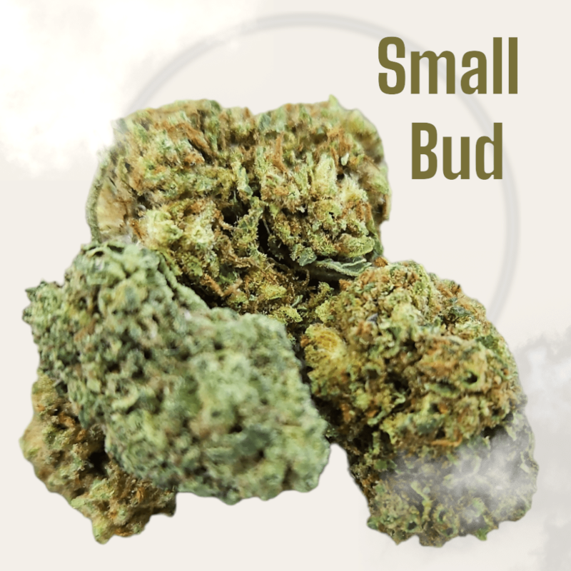 Small bud